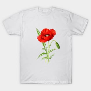 Red Poppy T-Shirt